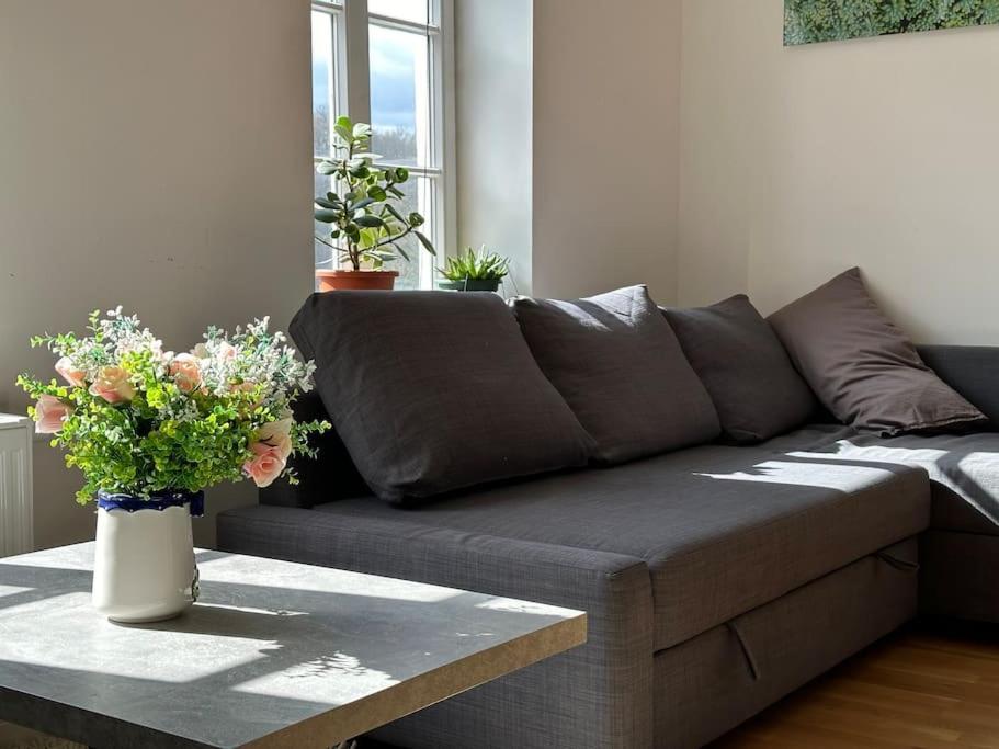 Wohnung Am Schloss 2 - Bestes Apartment In Weilburg Exteriör bild